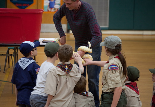 IMG 8117